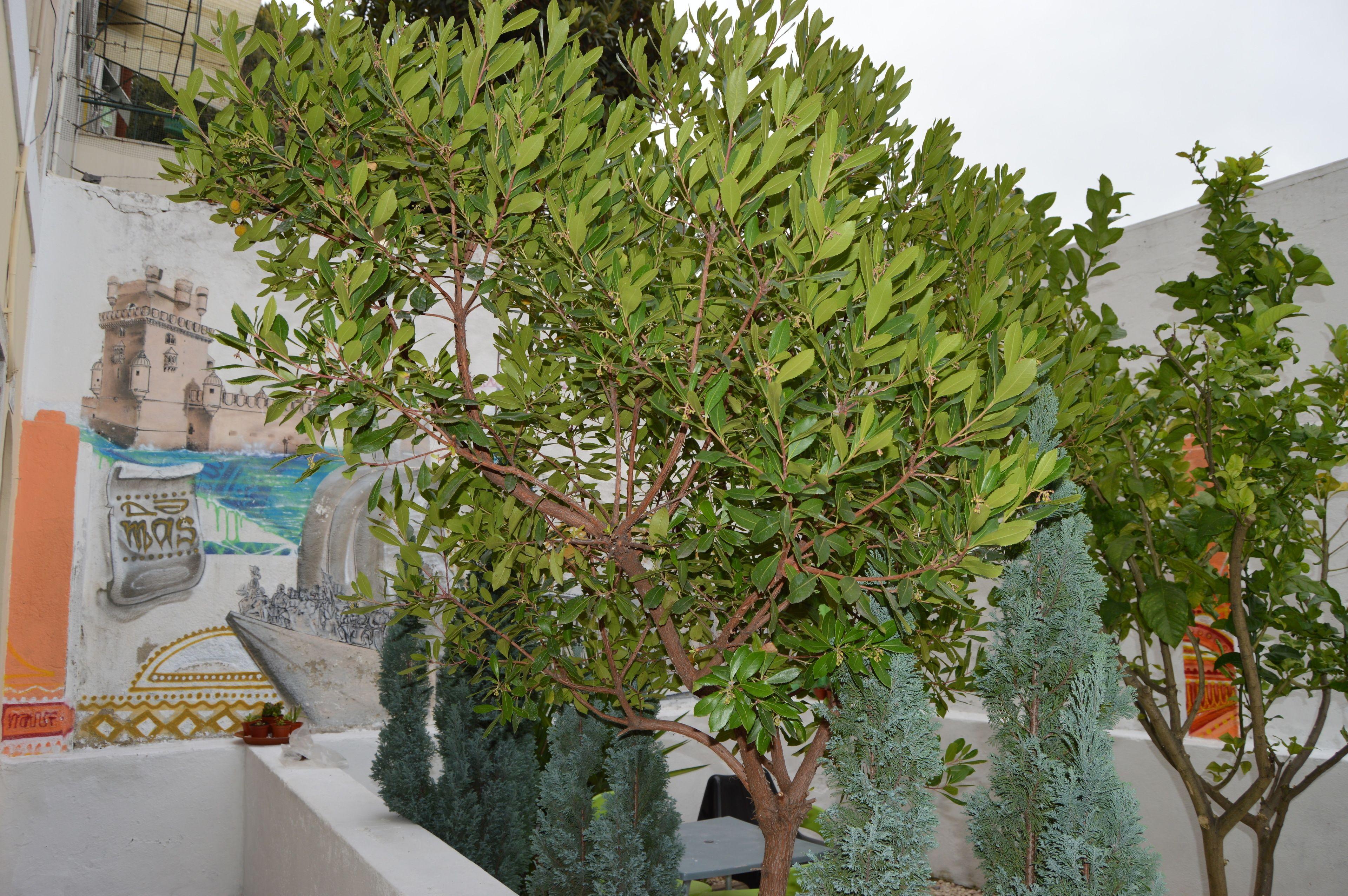 Terrace Lisbon Hostel, Lisbon
